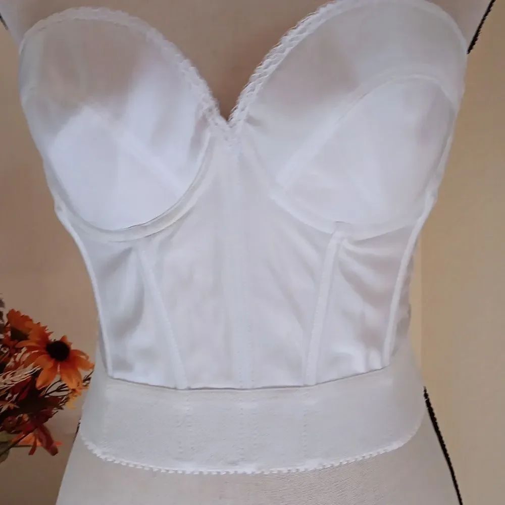 Dayleen Intimates Strapless Bustier Bra - Picture 2 of 8